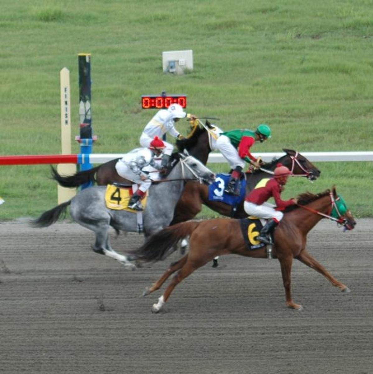 Governor Bryan Signs Agreement With VIGL to Move St. Croix Horse Racing