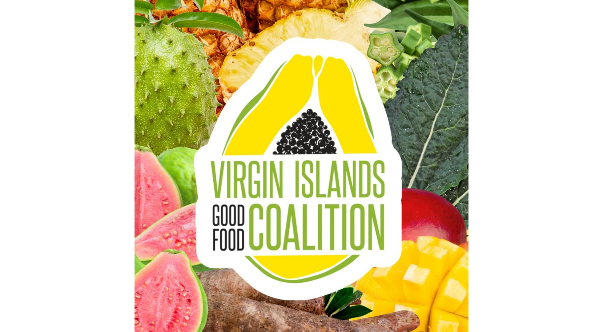 VI Good Food Coalition