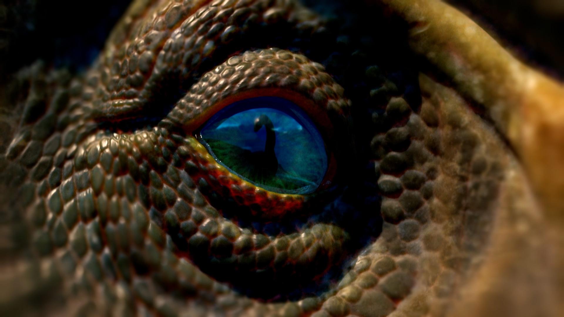Close up of a dinosaur's eye
