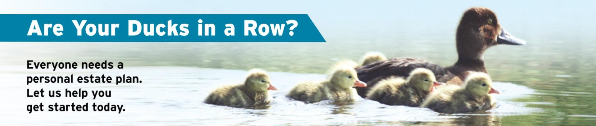 Ducks on Water: "Are Your Ducks in a Row? Everyone need a personal estate plan. Let us help you get started today."