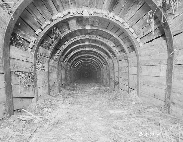 A tunnel made of wood with a straw floor