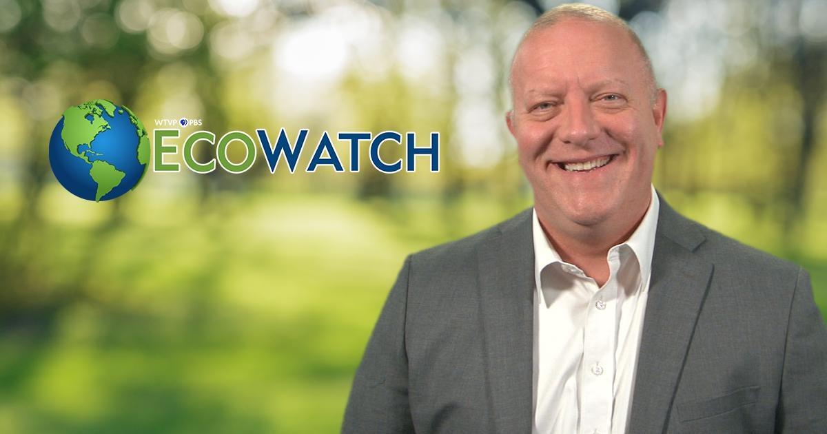 Eco Watch, Mark Welp standing in front of the blurred forest background