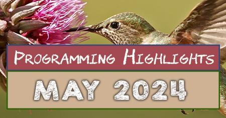 Programming Highlights | May 2024