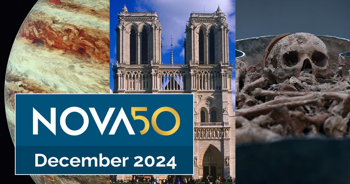 nova | December 2024