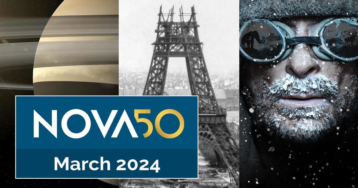 Nova | March 20205