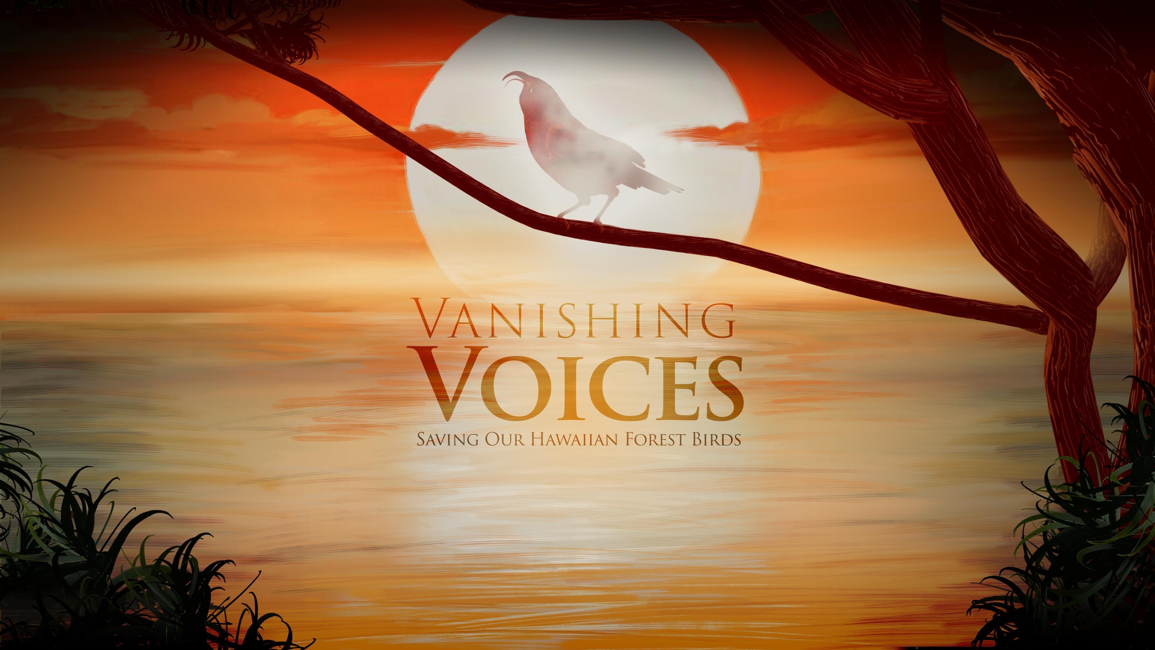 The sun frames a red species of Hawaiian honeycreeper called the I'iwi as it opens its hooked beak to sing from a branch extended out over the ocean and the title Vanishing Voices: Saving Our Hawaiian Forest Birds.. 
