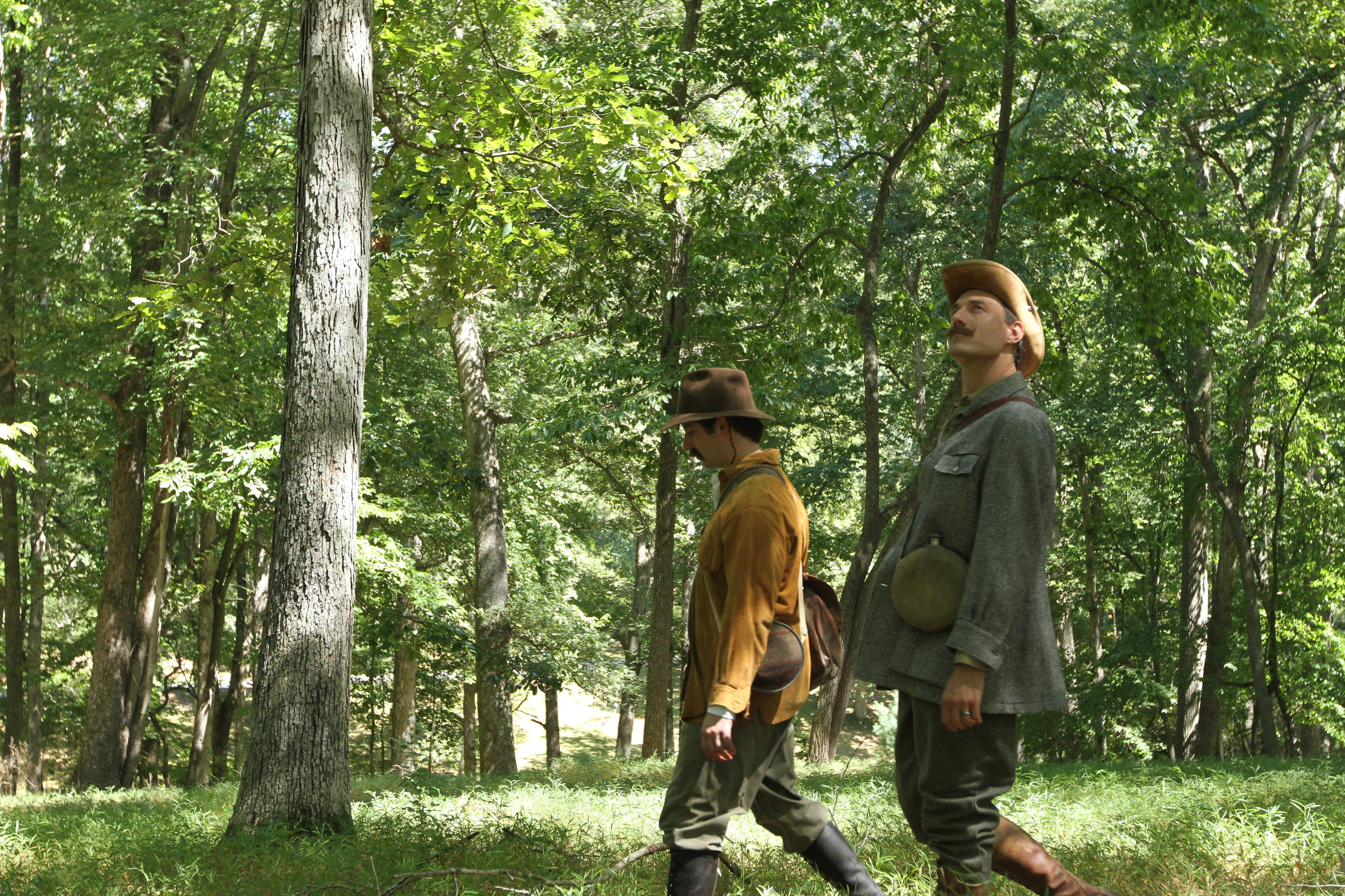 Two men observing a forest 