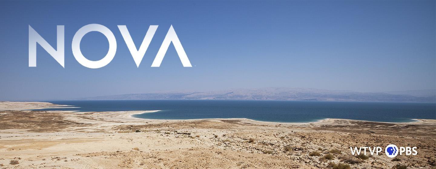 vast dessert sea 