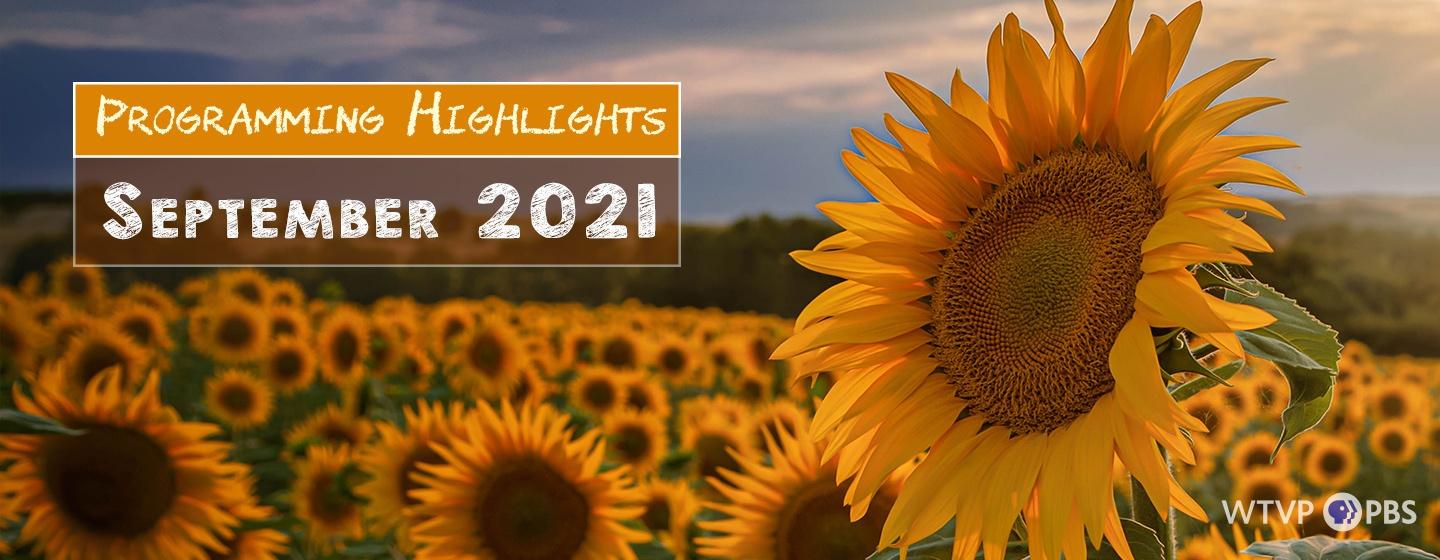 Programming Highlights | September 2021, Field of Sun Flowers