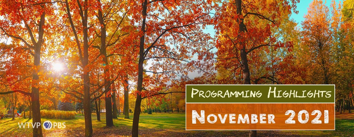 Programming Highlights | November 2021
