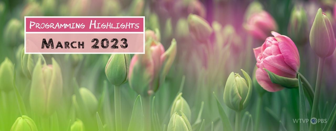 Programming Highlights | March 2023 with pink tulips