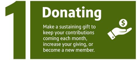 Donating: Make a sustaining gift to keep your contributions coming each month, increase your giving, or become a new member.