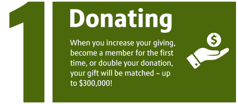 1. Donate - When you increase your giving, become a member for the first time, or double your donation, your gift will be matched – up to $300,000!
