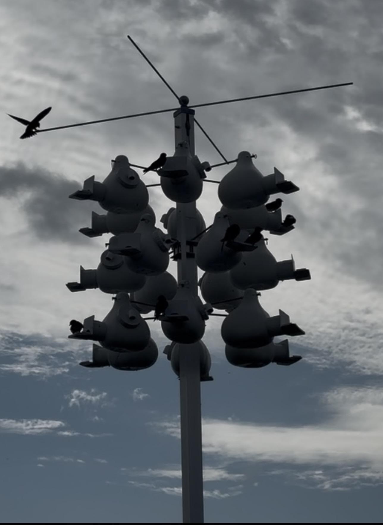 A large multi-room birdhouse on a tall pole
