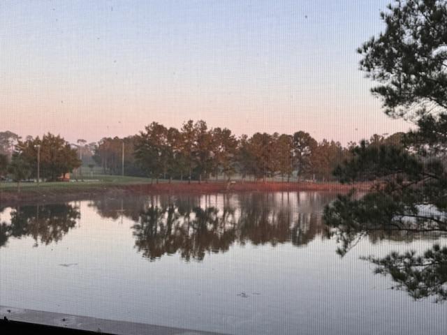 A still lake with reflections of trees on the surface at dawn