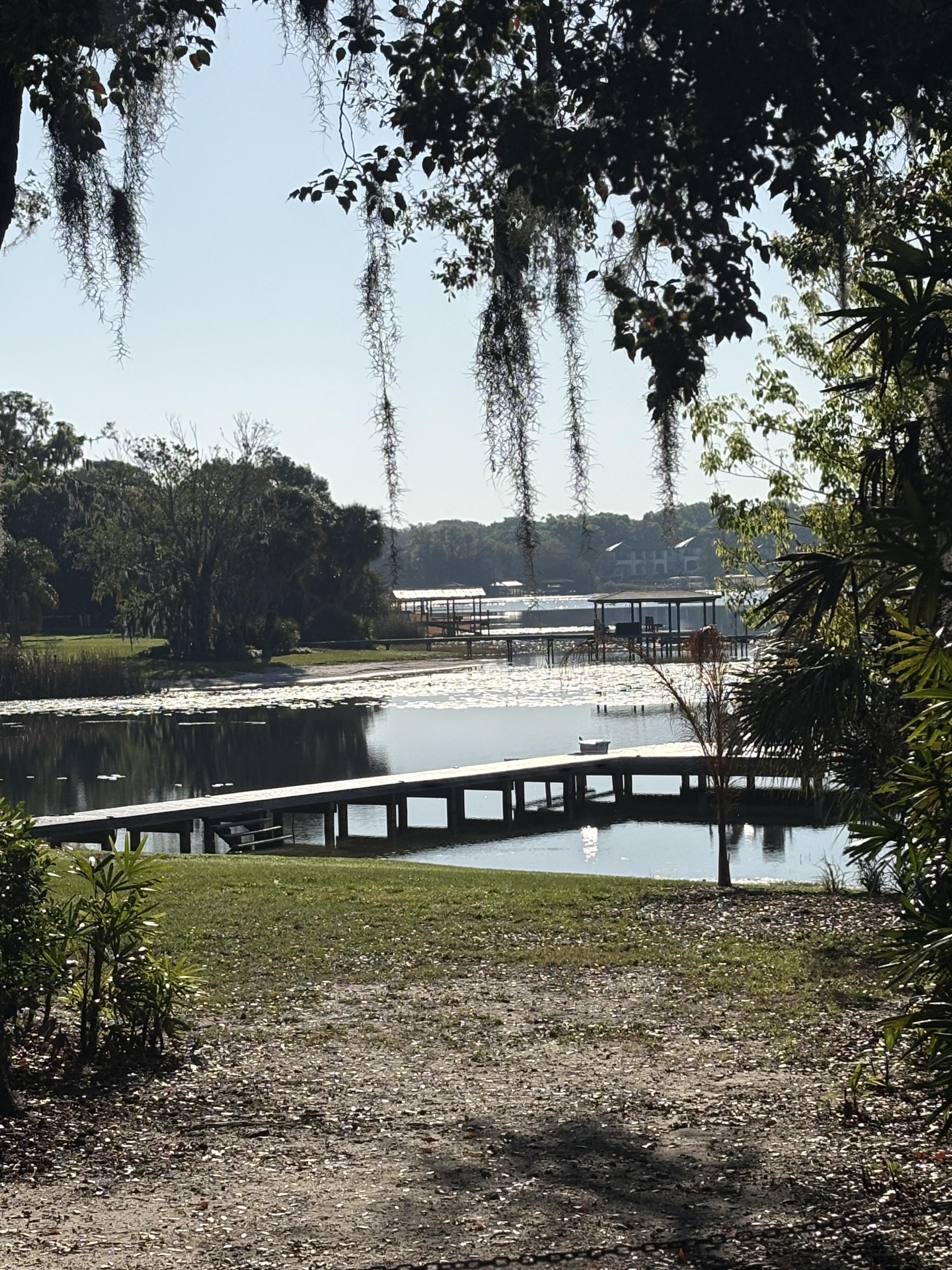 A serene view of a lake and a private dock with green foliage surrounding the image.