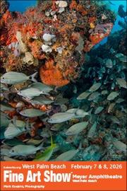 West Palm Beach Fine Art Show February 2026