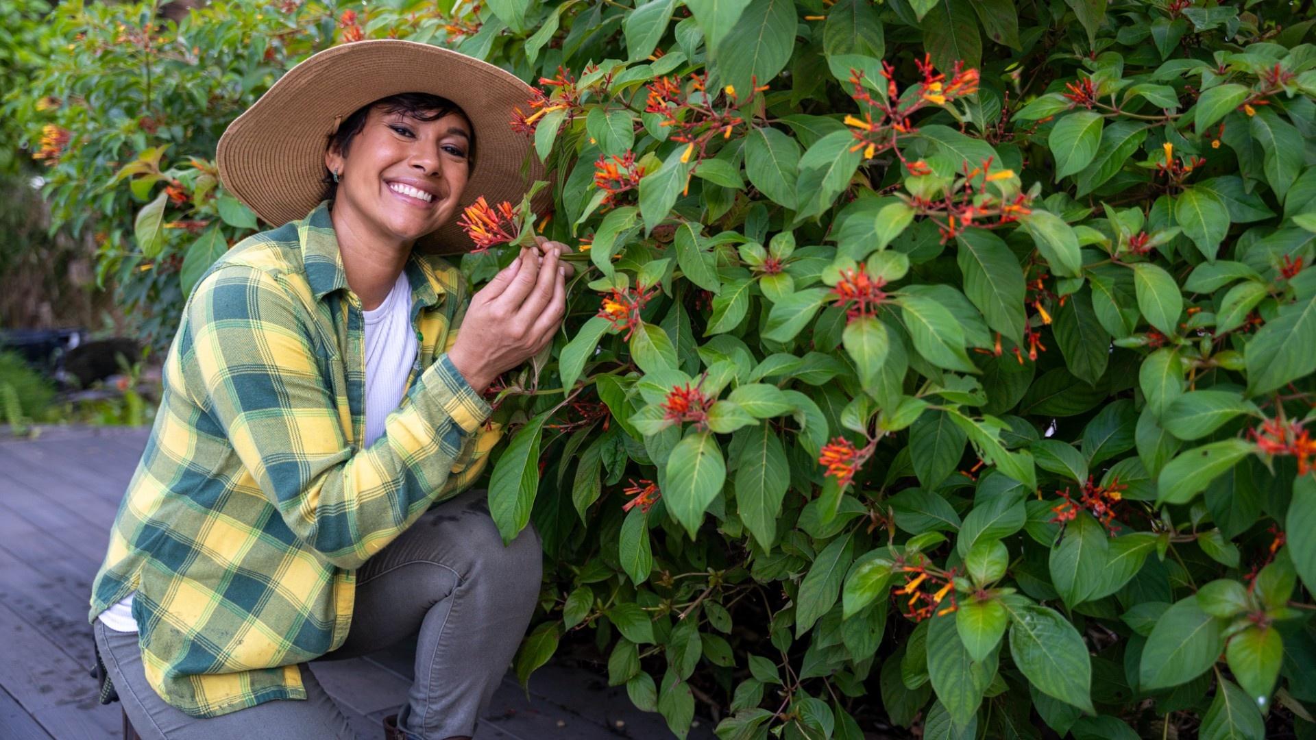 South Florida Gardening Questions - Answered