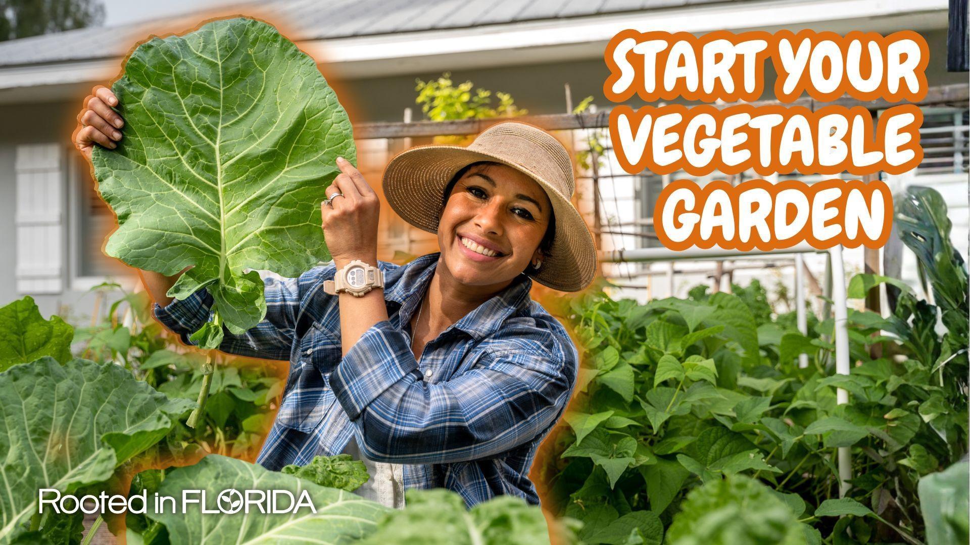 Beginners Guide to Vegetable Gardening