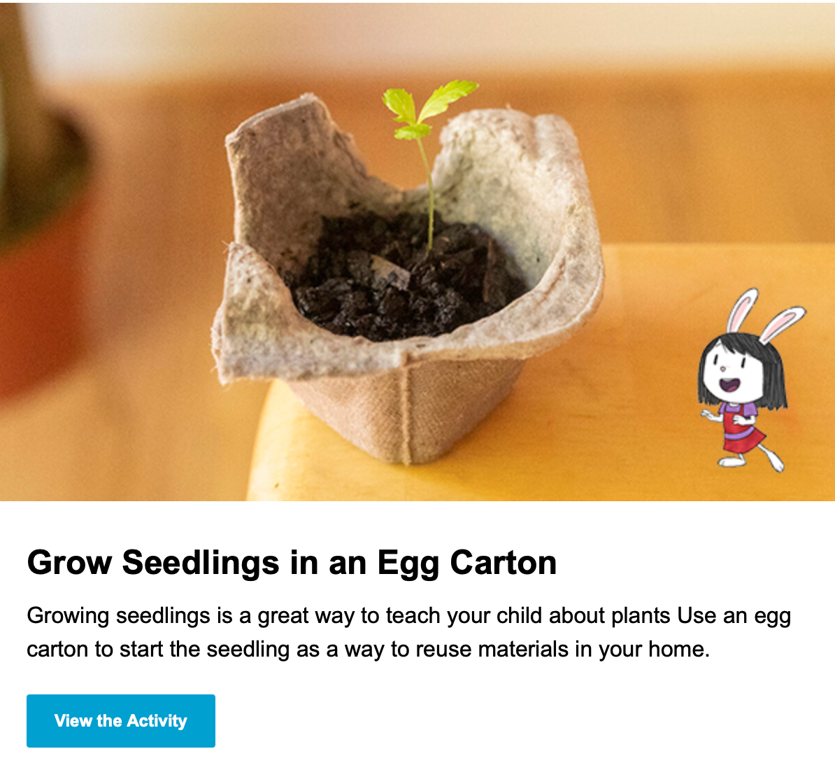 Grow Seedlings in an Egg Carton