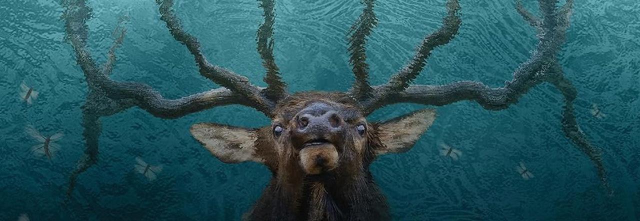 An illustration of a buck under a texture of blue water