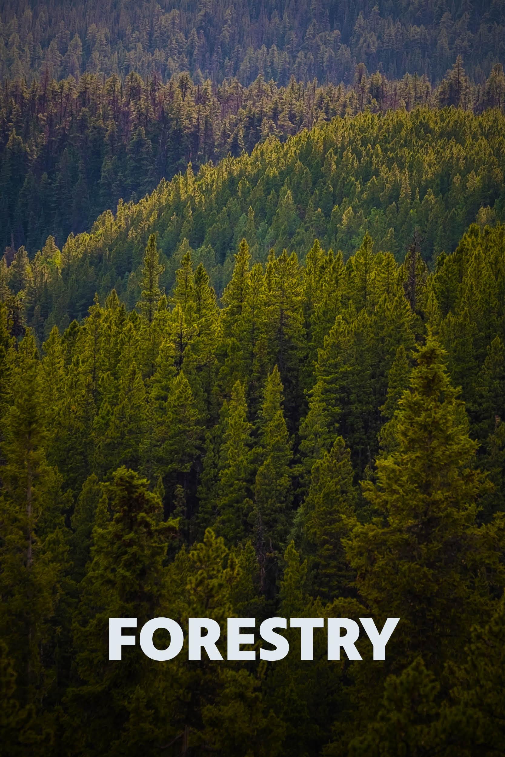 Forestry