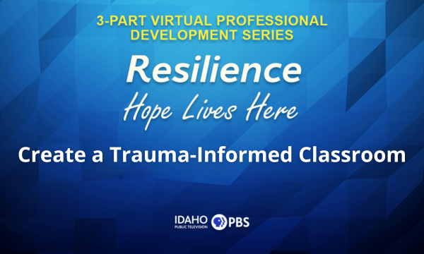 Resilience Professional Development