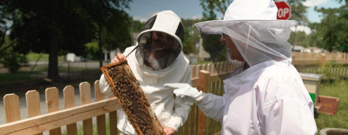 Sheri Castle and Mary Garrison in beekeeping suits while looking at some bees.