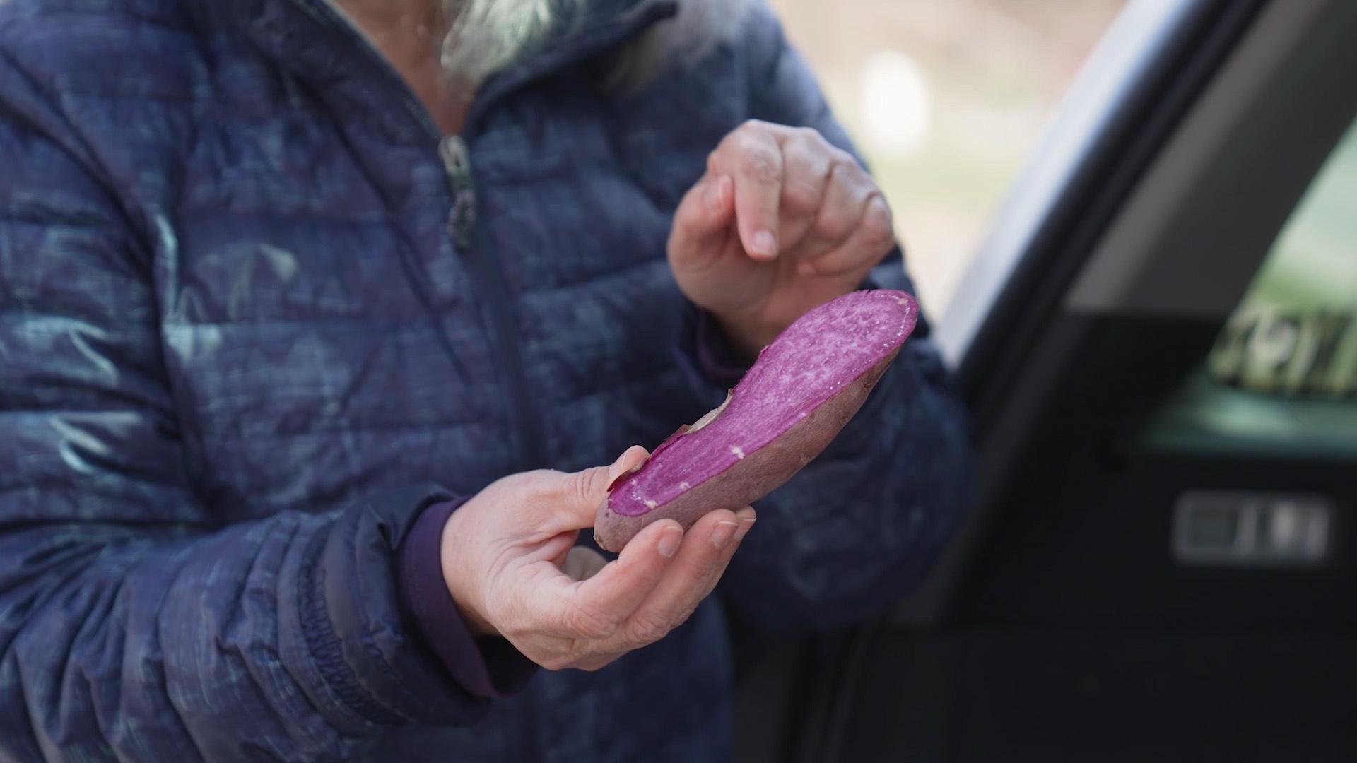 Sheri holding up a purple sweet potato.