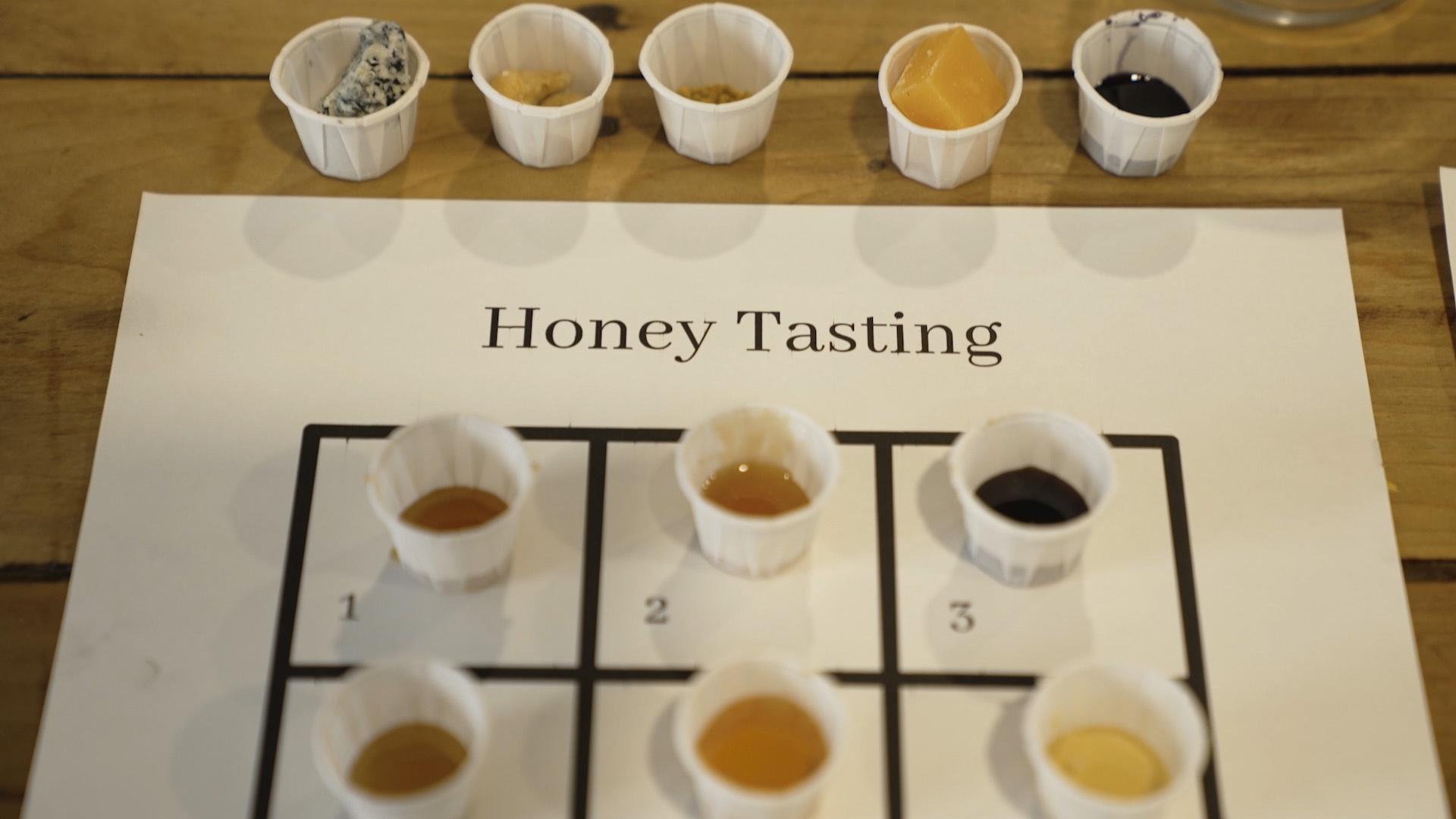 A honey tasting sheet with paper cups of different textured and colored honeys.