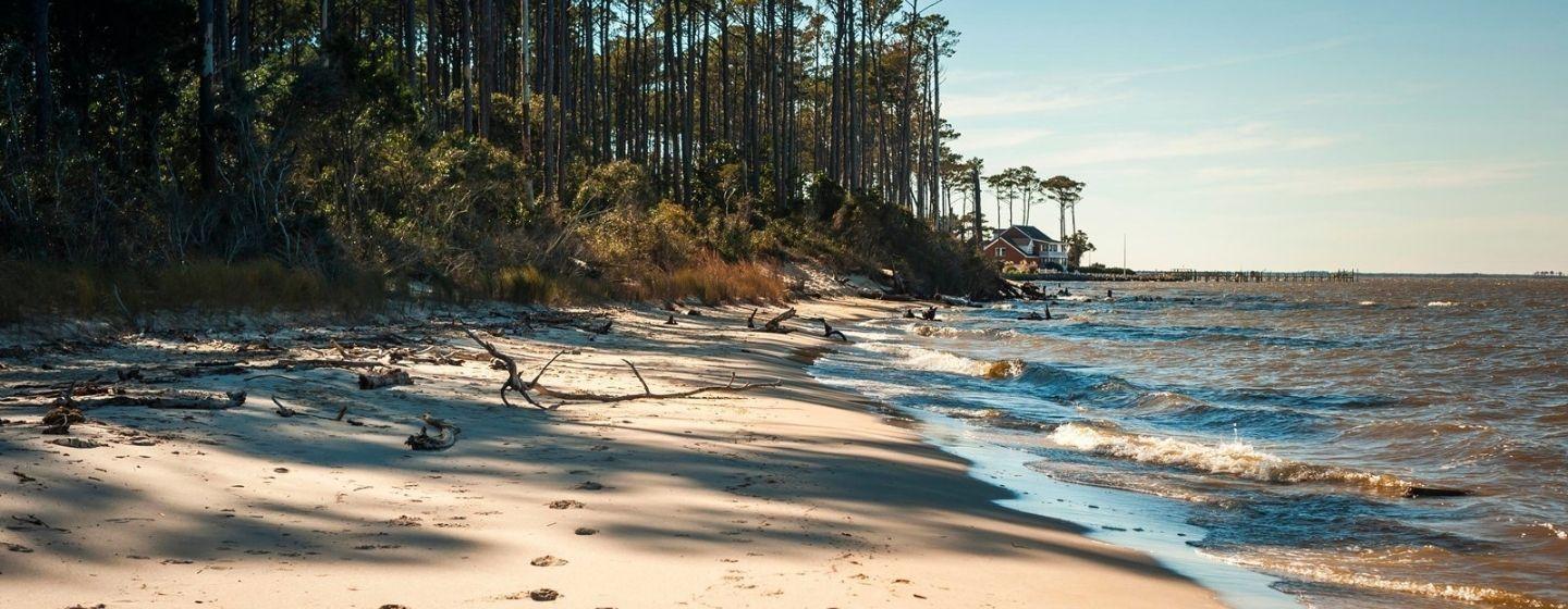 Shoreline at Fort Raleigh National Historic Site.