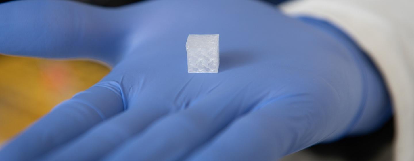 Shown here is a 3D bioprinted tissue construct used to replicate human tissue. Credit: Wake Forest Institute for Regenerative Medicine