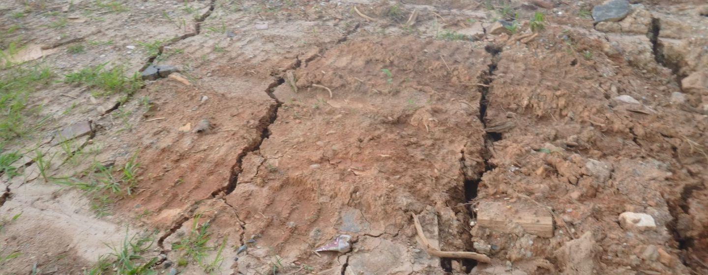 cracked clay and dirt ground with some grass