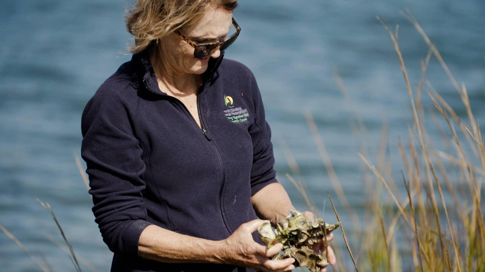 scientist gathering oysters at beach near reeds