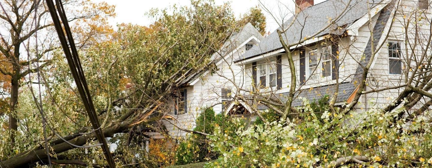 A house damaged by a hurricane with downed power lines and trees.