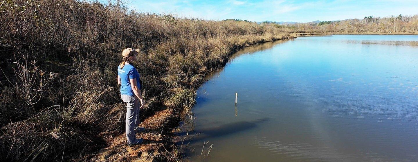 Rose Jenkins Lane in the restored creek at Pleasant Grove. Before restoration, this creek had been converted to a ditch to drain water off the land, which created problems with erosion.