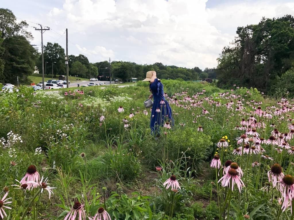 A woman in a deep blue dress and light straw hat, holding a woven basket, is standing in the middle of a patch of native plants growing along the roadside.