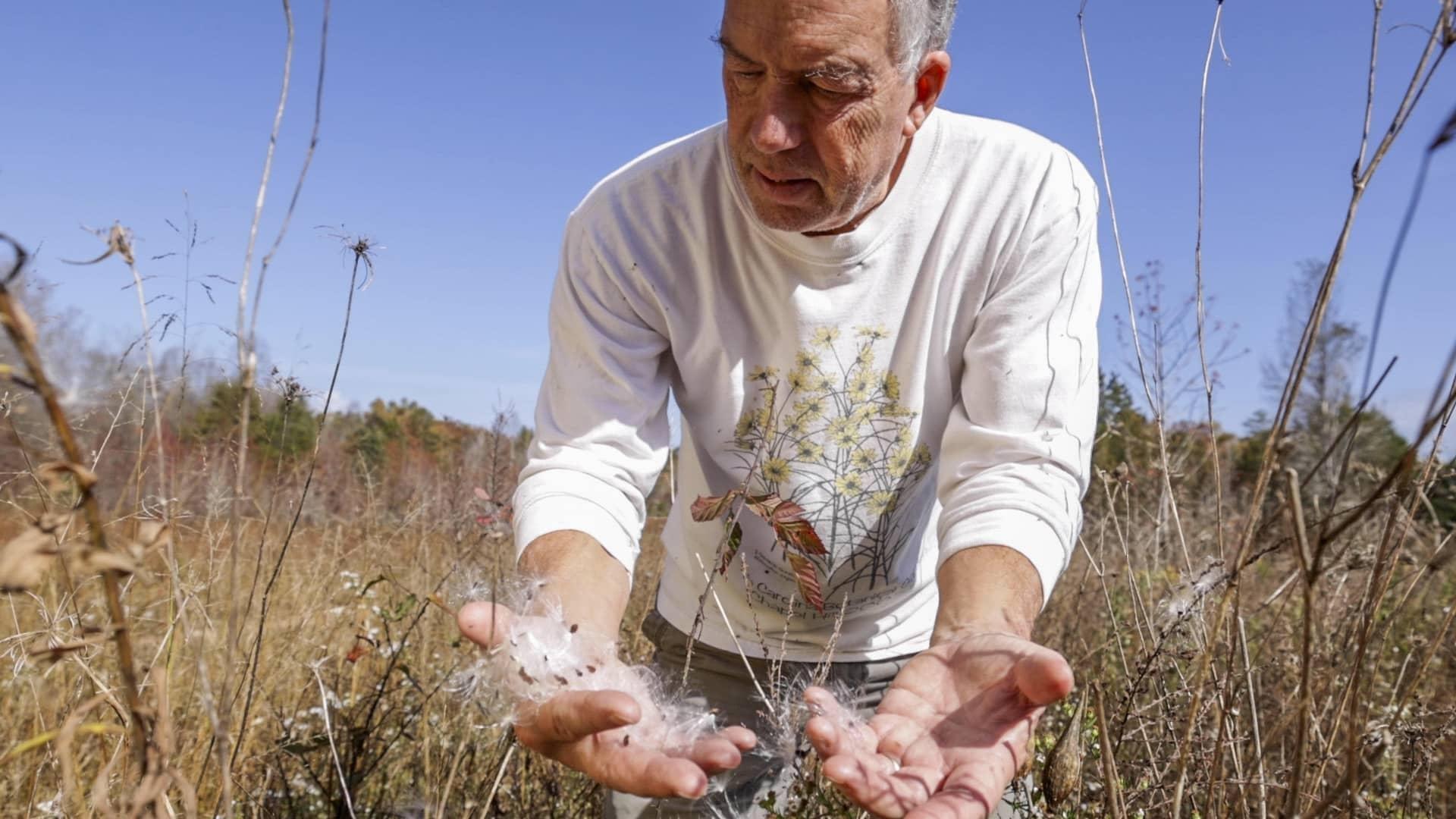 A man in a white long-sleeved T-shirt with wildflowers on it stands in a field of tall grasses with blue sky behind him. He is looking down at his hands, which are full of white fluffy milkweed seeds.