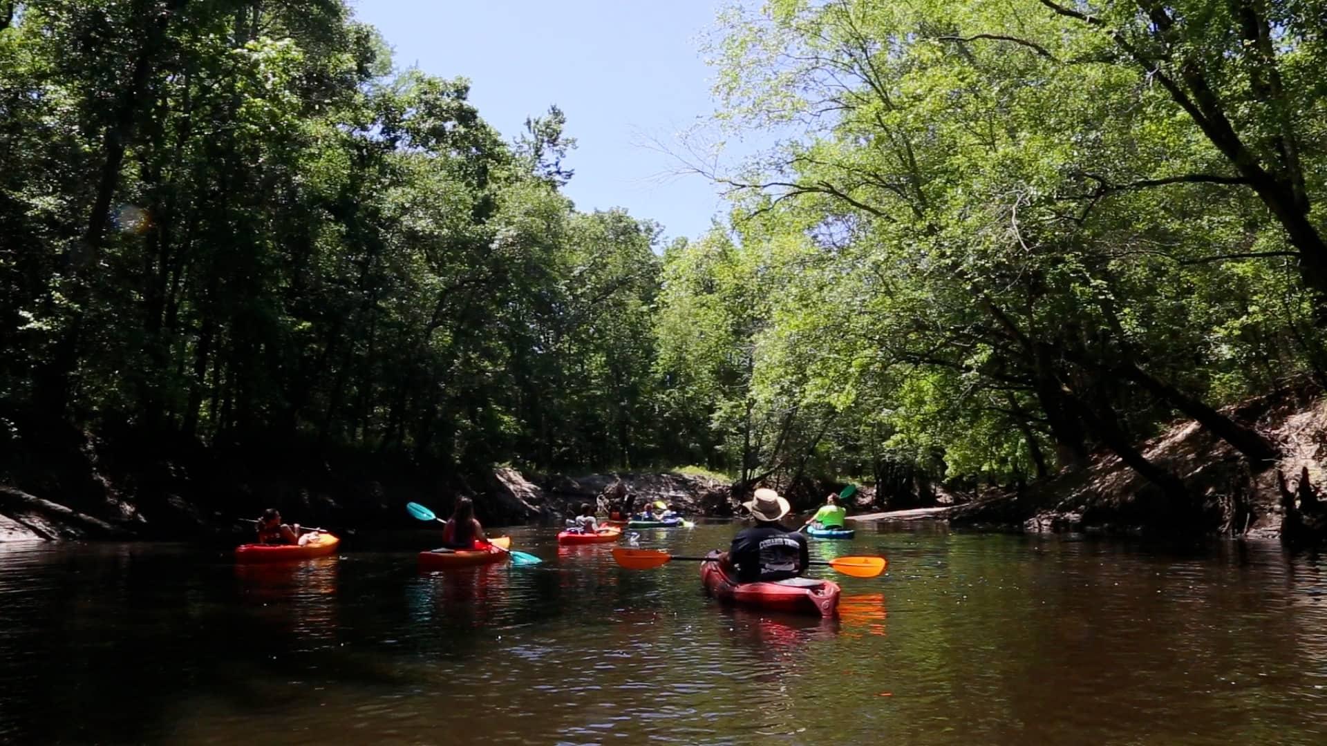 The Coharie Tribe leads guided tours on the Great Coharie River. Photo by Meredith Browne