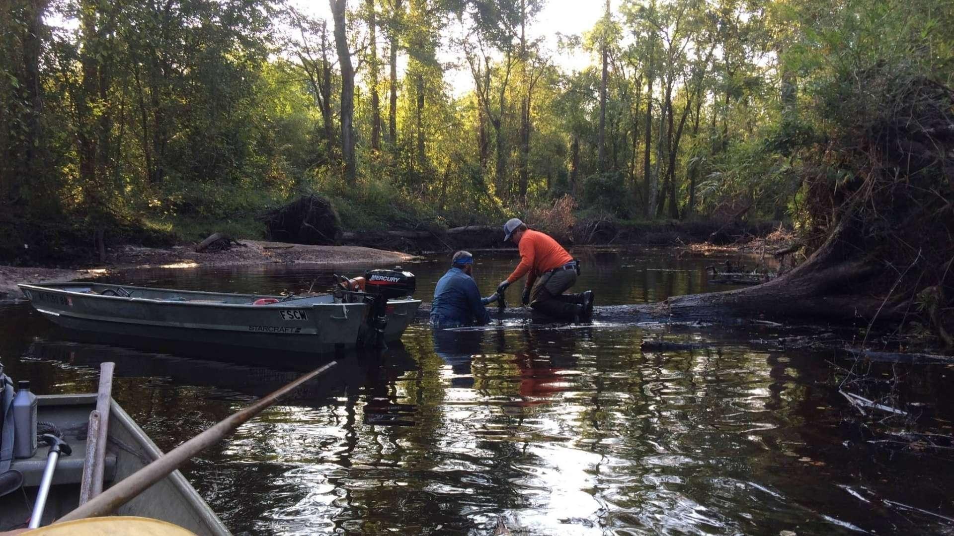 Part of the initial Great Coharie River Initiative team work to remove a tree that fell across the river. Photo by Phillip Bell.