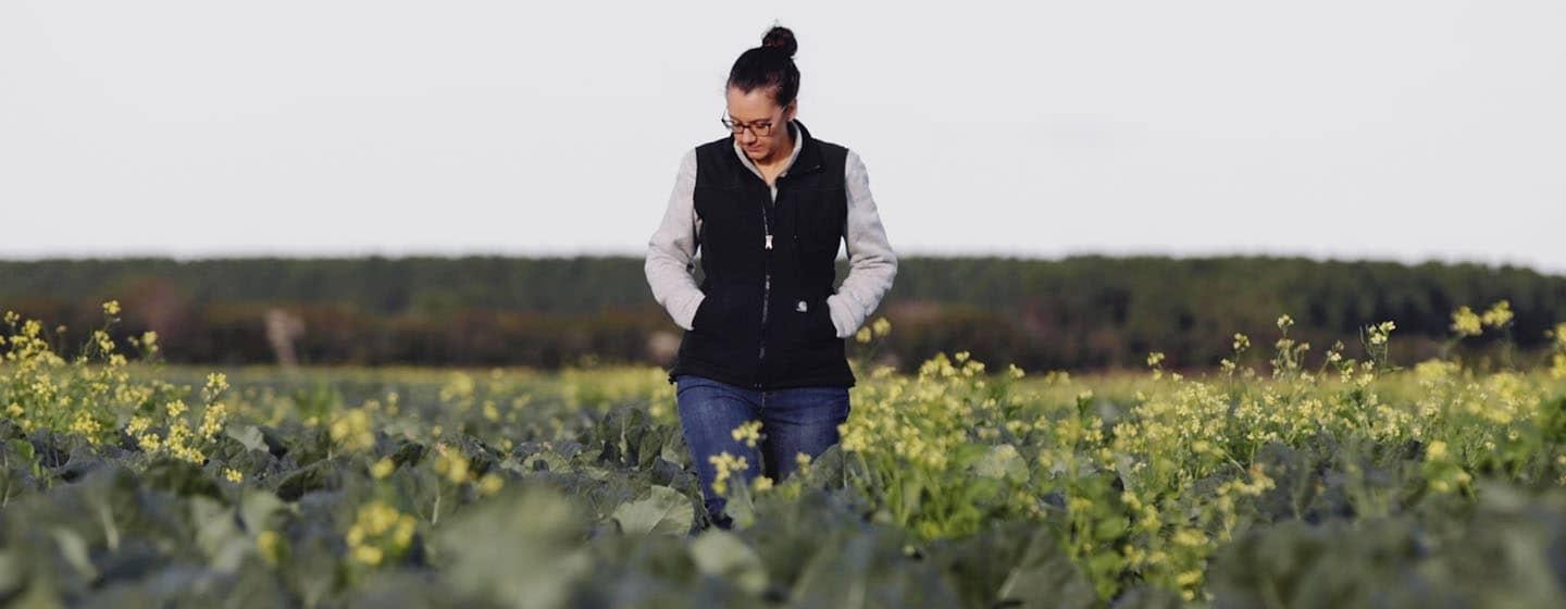 Andrea Gibbs, Hyde County Agricultural Extension Agent, walks through a field of flowering broccoli plants. She is wearing blue jeans, a long-sleeved shirt and a black vest.