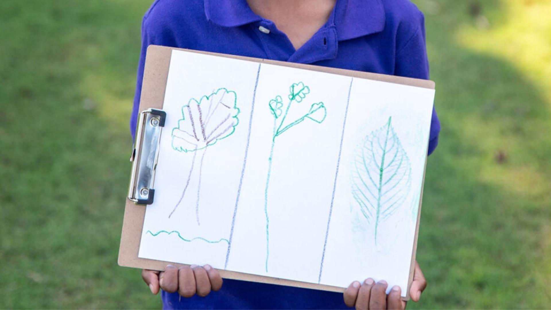 A child holding a clipboard and piece of paper with trees and leaves drawn on to it.