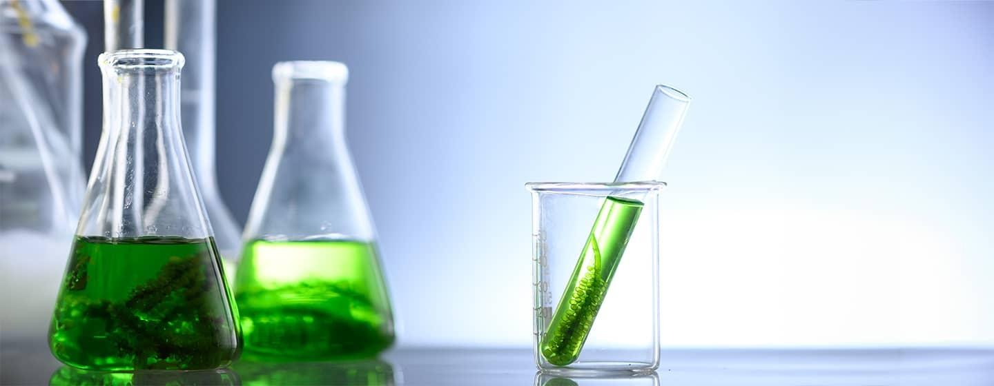 Various test tubes and beakers with green liquid in them sit on a lab bench.