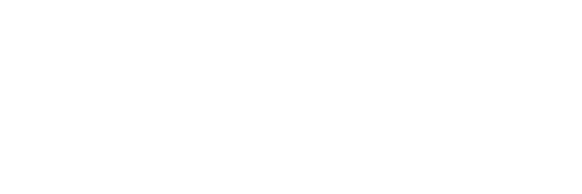 20th Century in Photographs Volume 1