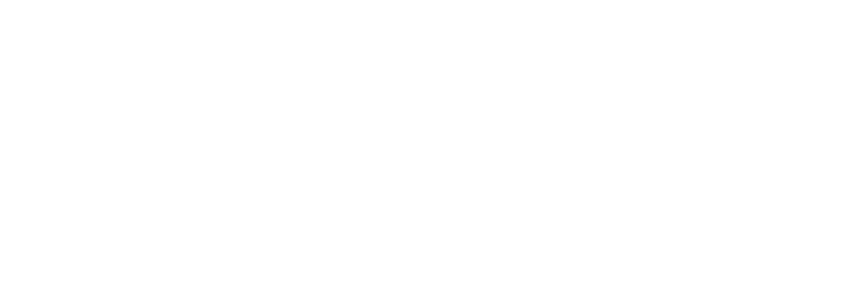 NPT's Tennessee Town Squares