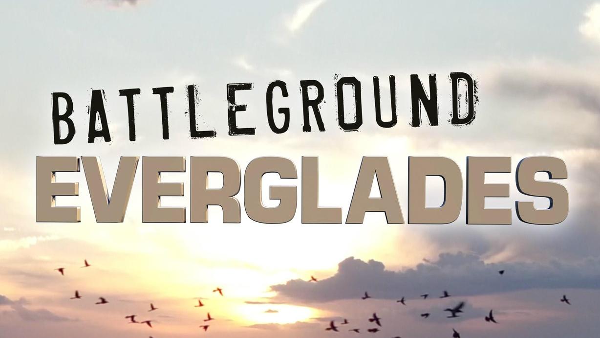 Battleground Everglades