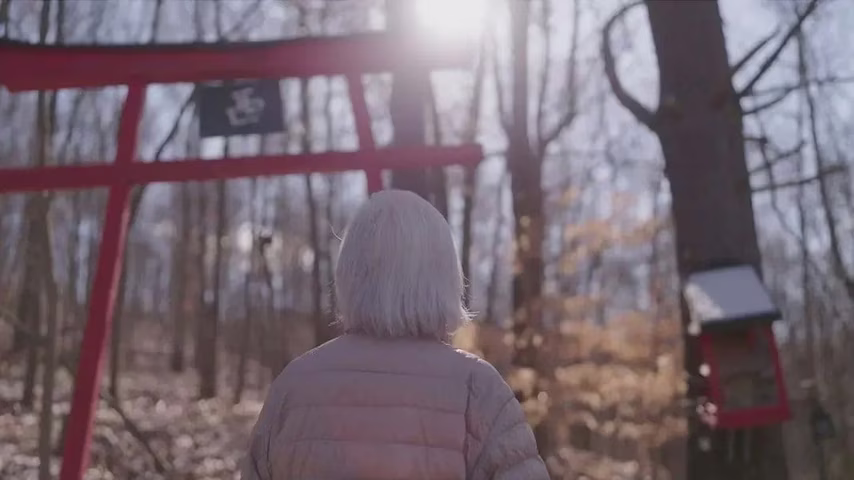 The Silent Witness: A Survivor's Story of Hiroshima