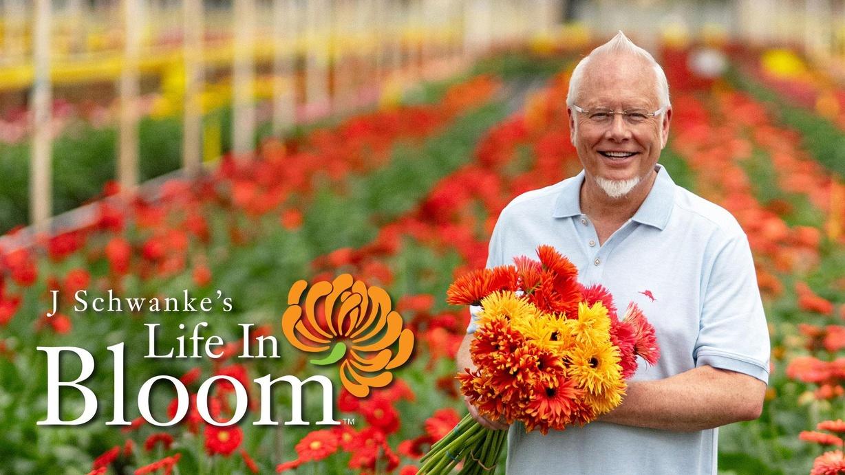 J Schwanke’s Life In Bloom