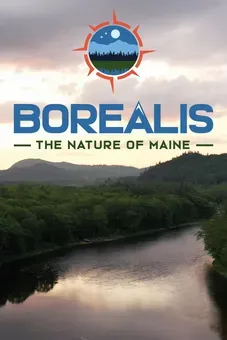 Borealis