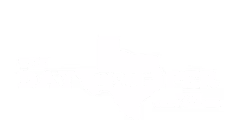 The Daytripper